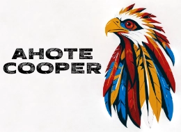 ahotecooper.com logo